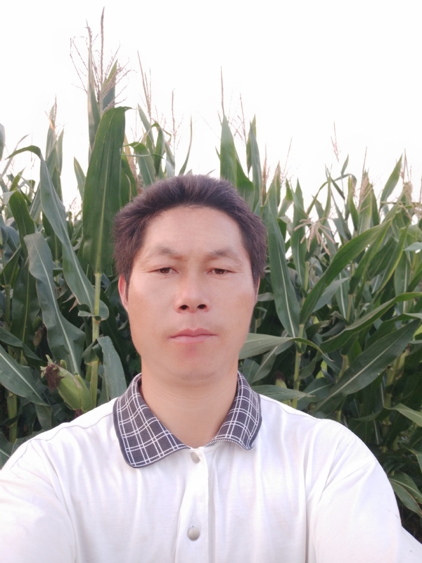 四海游龙的第二张照片--郑州相亲服务中心