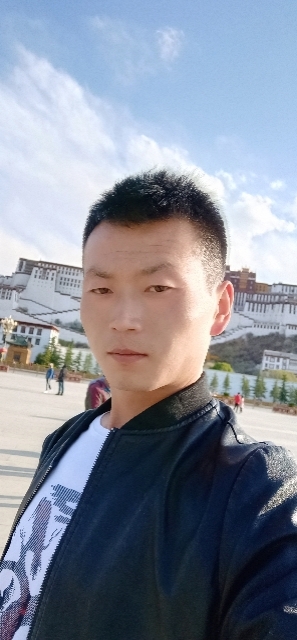 阳光下的小草的第二张照片--郑州相亲服务中心