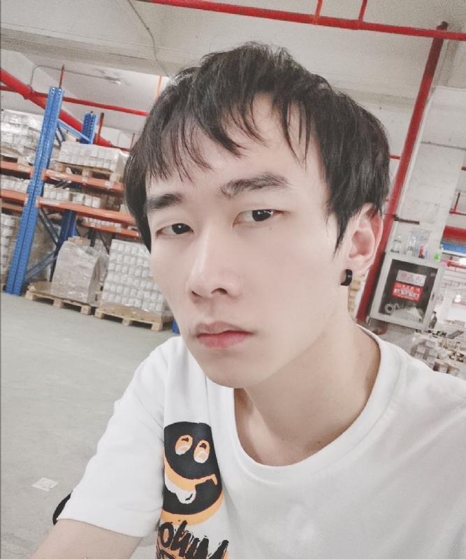 巷子里的猫的第一张照片--郑州相亲服务中心