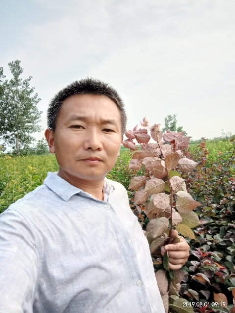孩子爸的第一张照片--郑州相亲服务中心