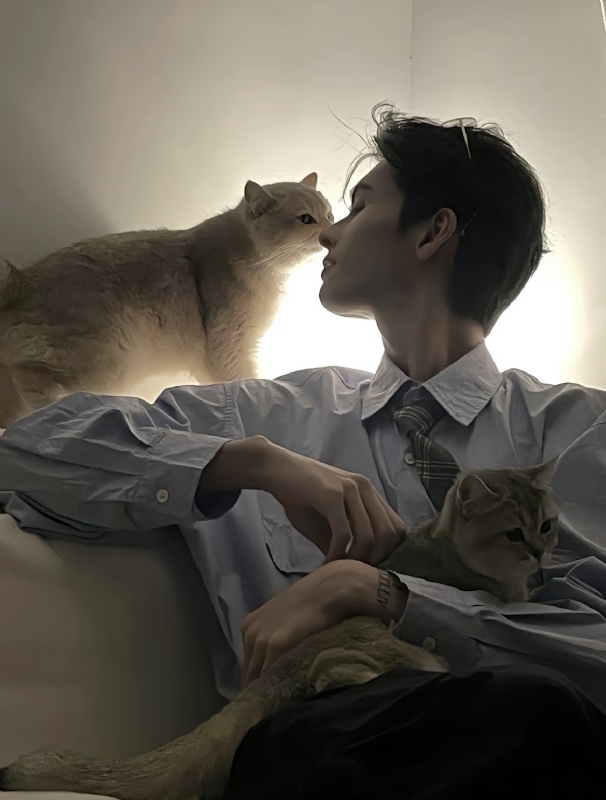 怪猫的第一张照片--郑州相亲服务中心