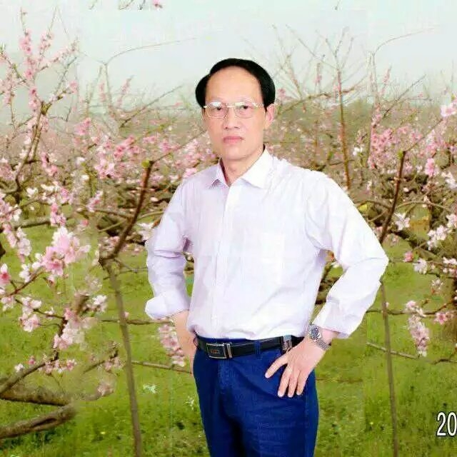 枫叶的第一张照片--郑州相亲服务中心