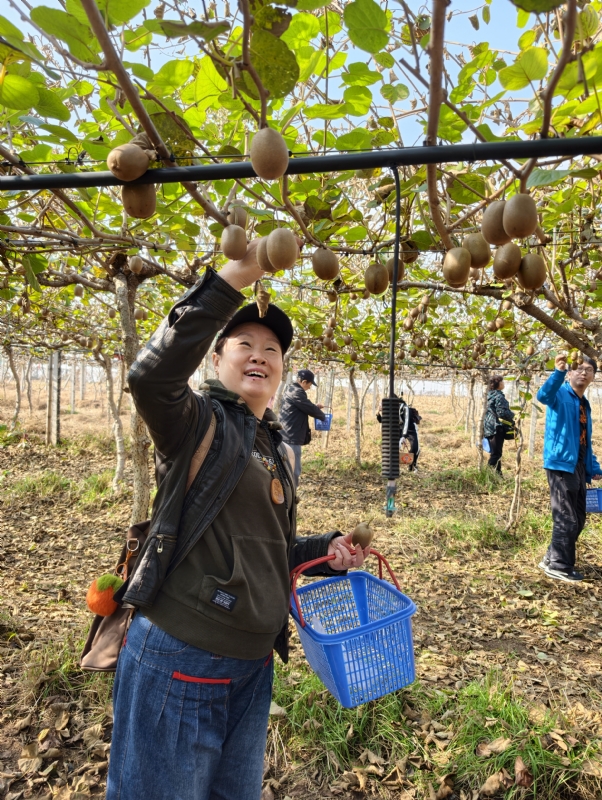 夜莺的第三张照片--郑州相亲服务中心